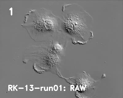 RK-13-run01